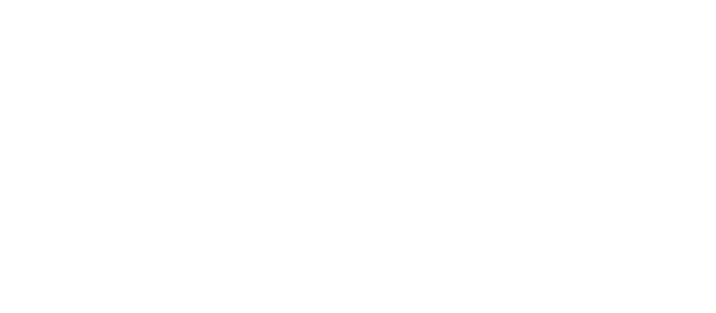 RAMSES